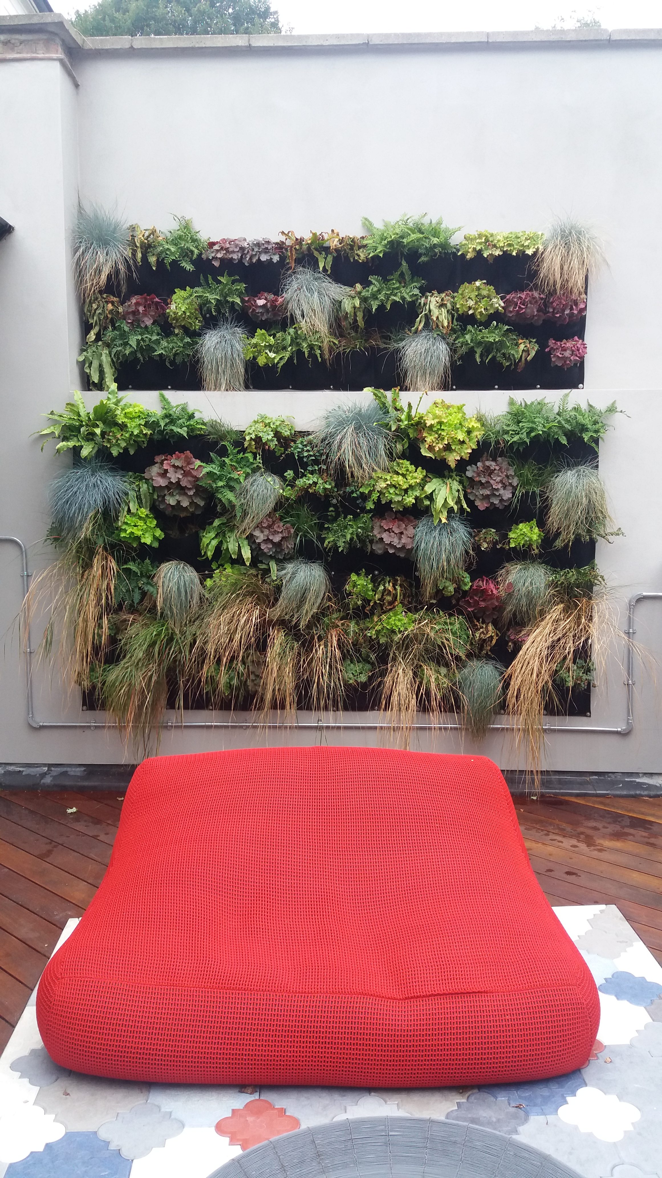 The Mews House, Hampstead The Girl who Gardens