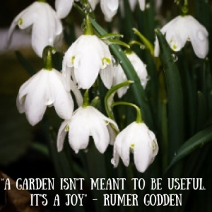 A garden isn’t meant to be useful. It’s for joy