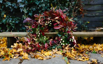 Frost on the Leaves Photoshoot